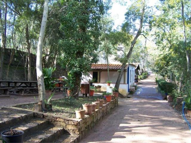 Alojamento Local Boavistense Одемира Экстерьер фото